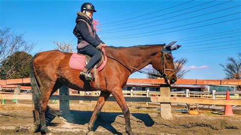 japanese riding porn